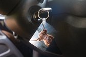 Porte-clés - Highlander écossais - Vache - Animaux - Berg - Nature - Distribution de cadeaux - Plastique