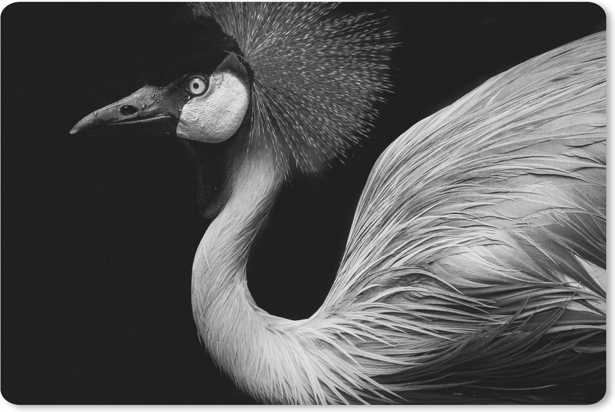 Muismat 27x18 cm - Mousepad Kraanvogel - Zwart - Wit - Vogel - Dieren - Muismatten