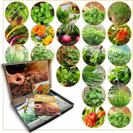Cadeau Zadenpakket – 22 Groente- en kruidenzaden voor Balkon, Terras of Kleine Moestuin – Luxe Geschenkpakket met Zaaikalender, Houten Plantlabels & Pen – Paprika, Komkommer, Courgette, Aubergine & Peterselie
