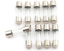 Glaszekering 5x20mm 1A TRAAG-SLOW 10-stuks