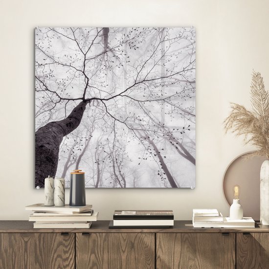 MuchoWow® Glasschilderij 50x50 cm - Schilderij acrylglas - Boom - Takken - Bladeren - Mist - Foto op glas - Muurdecoratie woonkamer - Wanddecoratie slaapkamer - Schilderijen