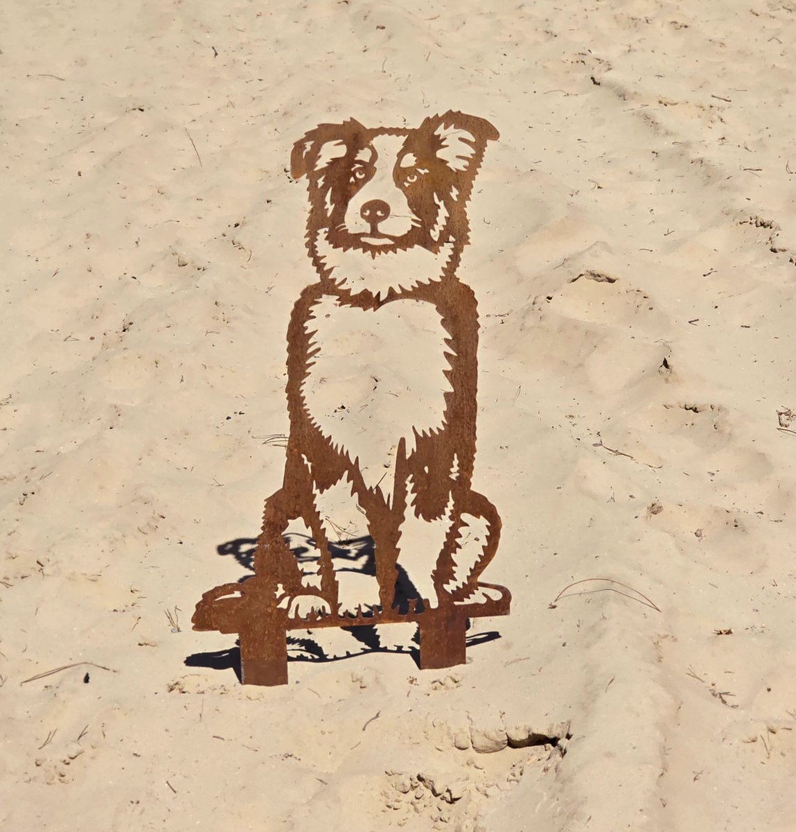 Australian shepherd - tuinbeeld - cortenstaal - ware grootte - NL fabrikaat