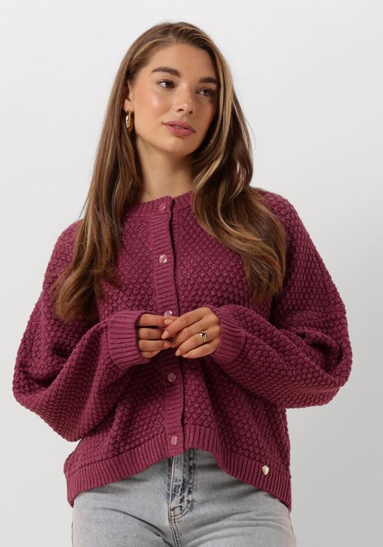 Harper Yve Rika ca Truien vesten Dames Sweater Hoodie Vest Paars Maat M bol