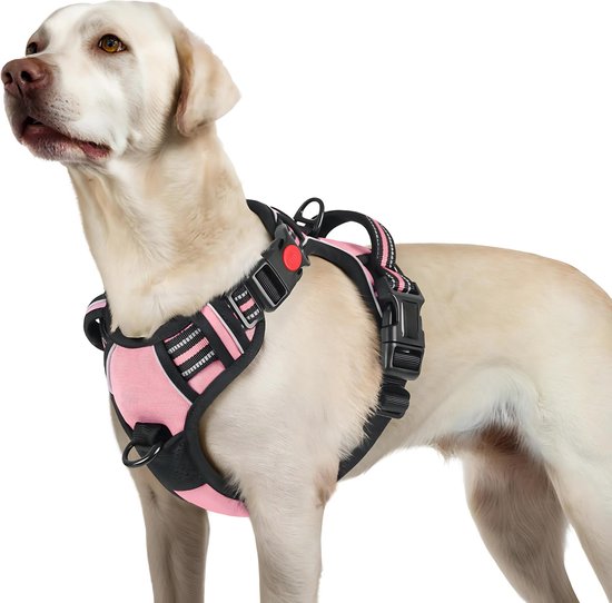 JAXY Hondenharnas - Hondentuig - Hondentuigje Kleine Hond - Y Tuig Hond - Harnas Hond - Anti Trek Tuig Hond - Reflecterend - Maat L - Roze