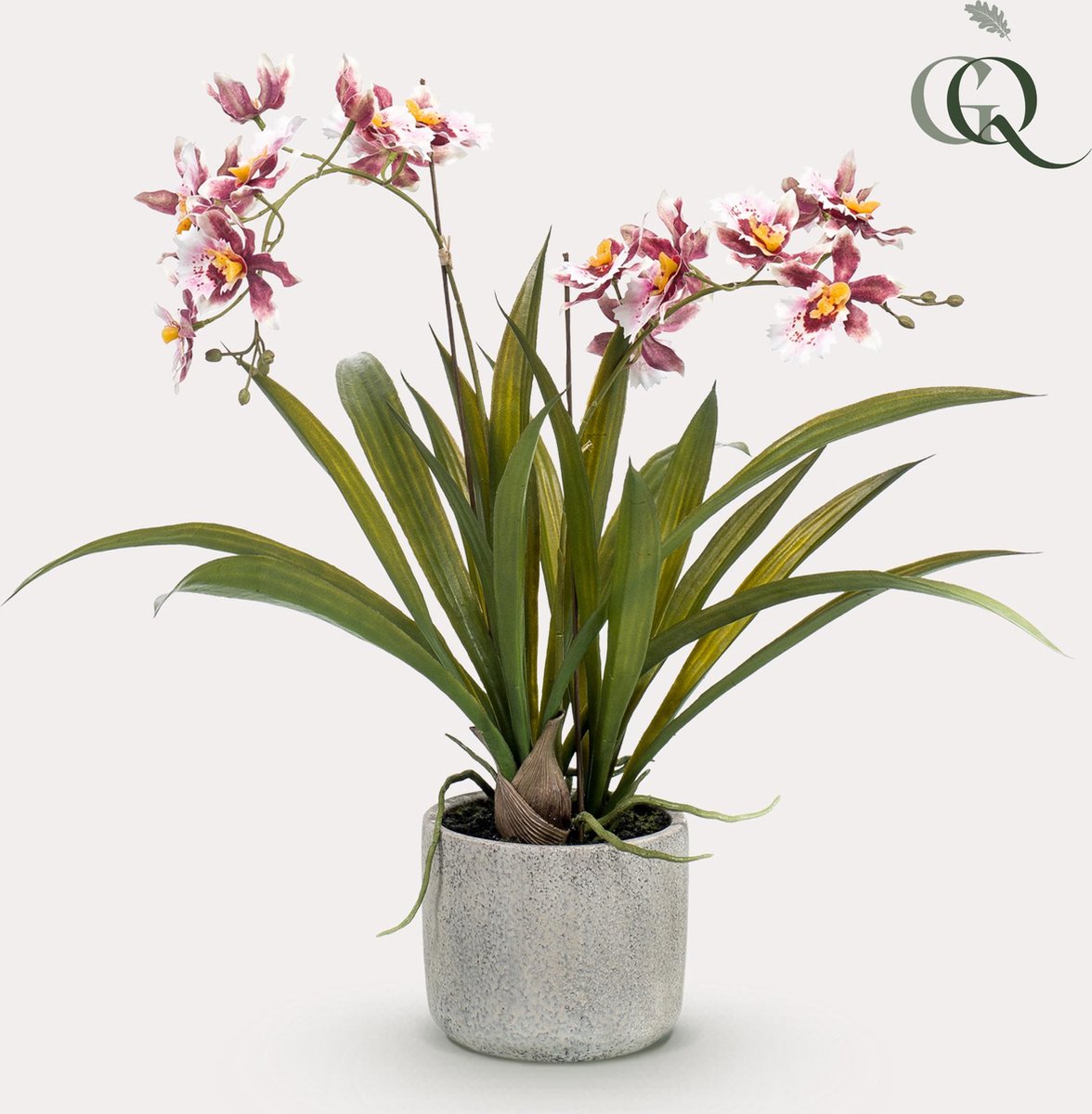 Green Harmony | Kunstplant - Orchidee - Bordeaux - 45cm