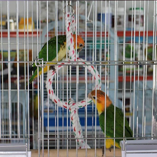 Sepiaschaal Voor Parkieten – 2 Stuks – 15-20 Cm Natuurlijk Inktvisbot – Voor Snavelverzorging En Mineralensupplement – Geschikt Voor Vogels En Reptielen