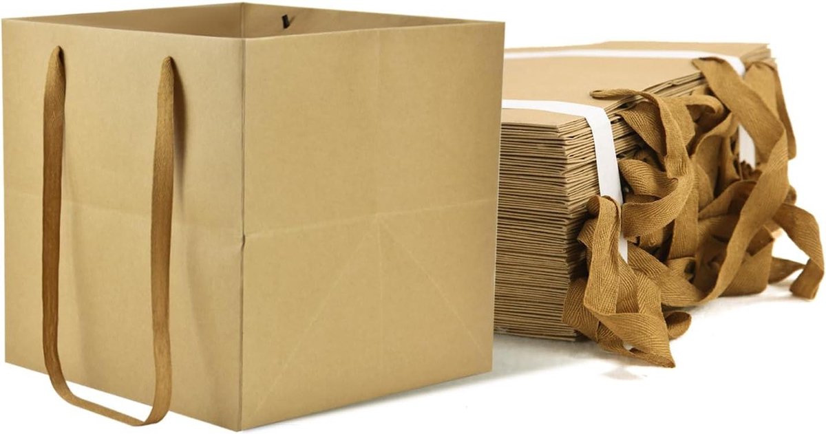 Bruine papieren zakken - 24 Pack - Kraft Feest Verjaardag - 20x20x20cm