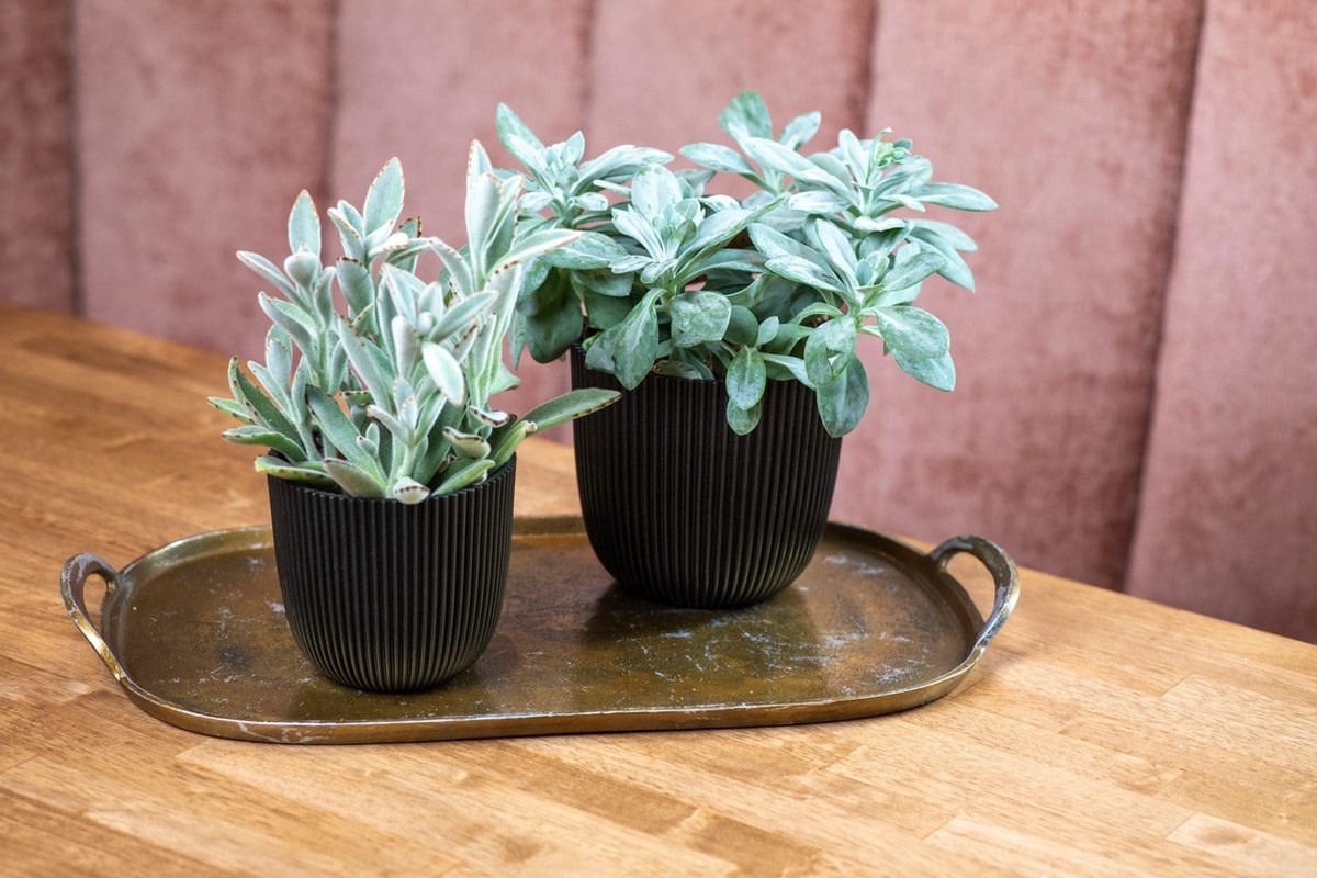 Capi Europe Bowl Pot Groove Made With - 25x23 - Artificial Grass Green
