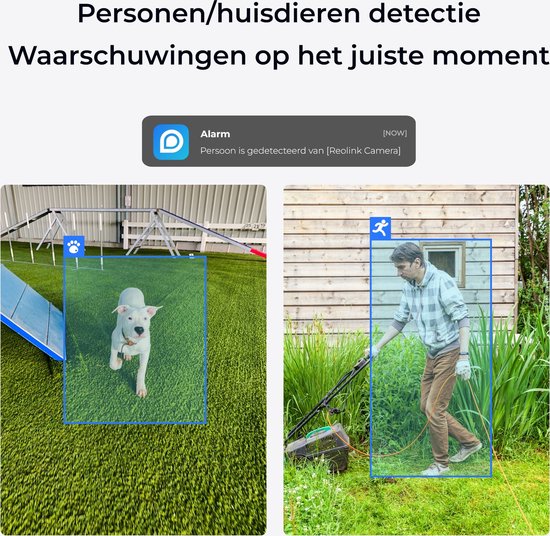 Reolink 4 MP beveiligingscamera voor binnen automatisch volgen, detectie van personen/huisdieren, 2,4/5 GHz wifi, tweewegaudio — afbeelding 2