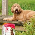 Beaphar FIPROTec doos voor grote honden (20-40kg) op een houten vlonder. Een grote, bruine, krullende hond ligt achter de doos.