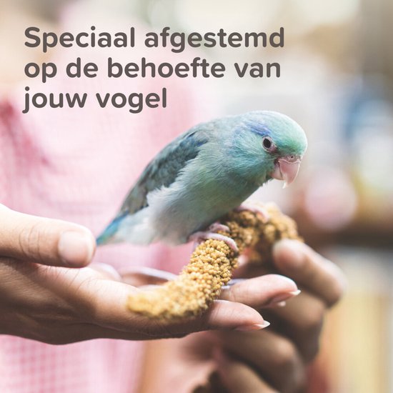 Beaphar XtraVital Kanarie 500 gr