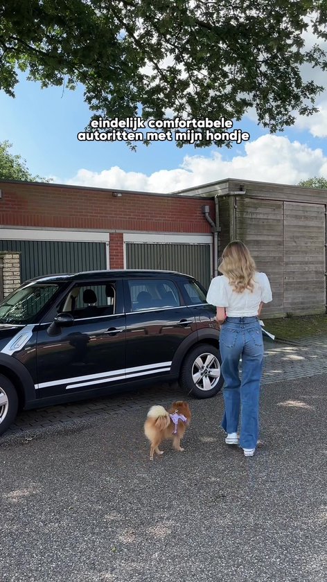 By Cee Cee Car Seat Dog Deluxe - Panier de voiture pour chien avec ceinture - Panier de voiture pour chien - Siège pour chien - Siège d'auto - Gris foncé