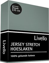 Livello Hoeslaken Jersey Vintage Green