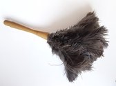 Feather Duster Feather, Longueur 38 cm.