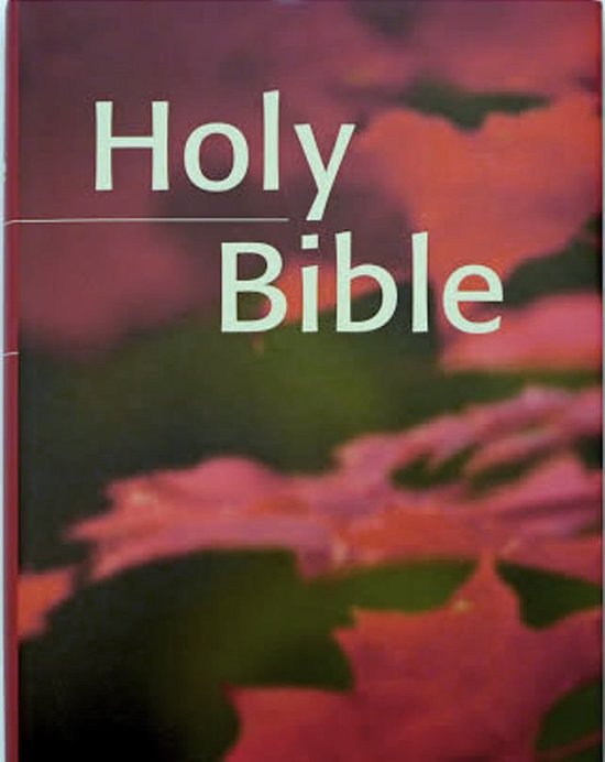 Holy Bible, King James Version 1611 Old and New Testaments (ebook), The ...