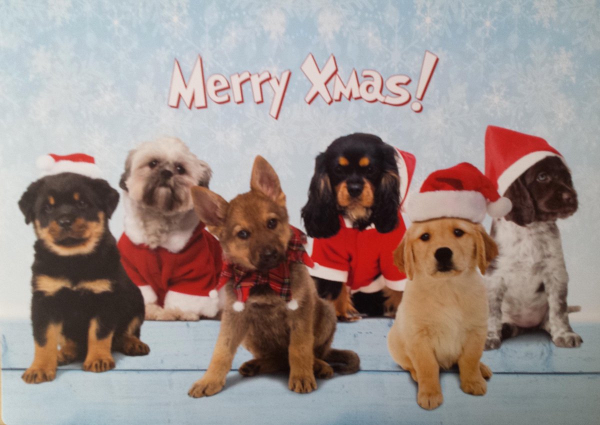 PLacemat Merry Christmas Honden