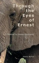 Through the Eyes of Ernest