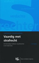 Vaardig met strafrecht