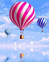 Schilderen op nummer roze luchtballon 40 x 50 cm