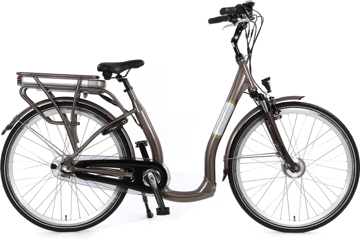 Popal Enroute Elektrische Fiets - Zilver | bol.com