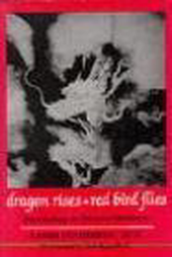 leon-hammer-dragon-rises-red-bird-flies-psychology-energy-and-chinese-medicine