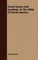 Forest Scenes And Incidents, In The Wilds Of North America