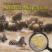 Close-Up on Amazing Animals - On the Move