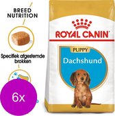 Royal Canin Bhn Dachshund Puppy - Hondenvoer - 6 x 1.5 kg