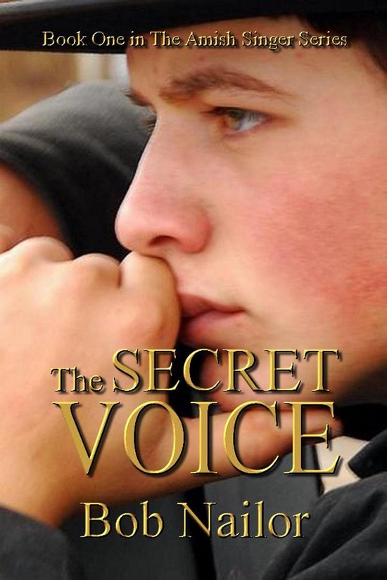 The Secret Voice - cover