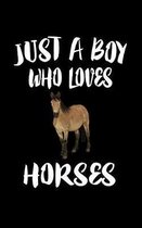 Just A Boy Who Loves Horses