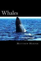 Whales: A Fascinating Book Containing Whale Facts, Trivia, Images & Memory Recall Quiz