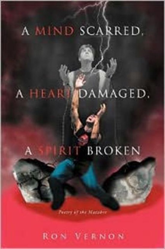 A Mind Scarred, A Heart Damaged, A Spirit Broken - cover