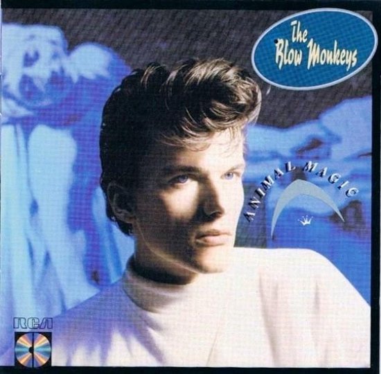 Hoes van Animal Magic door The Blow Monkeys met een close-up van een man tegen een blauwe achtergrond.
