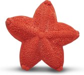 Jouet à morsure sensorielle en caoutchouc Lanco Starfish rouge