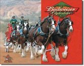 Budweiser Clydesdales Metalen wandplaat 31,5 x 40,5 cm.