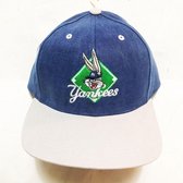 Bugs Bunny Yankees - Looney Tunes Baseball Cap - Pet