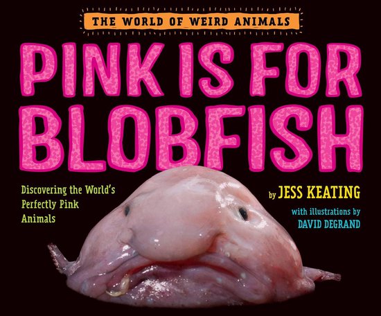 The World of Weird Animals - Pink Is For Blobfish - cover
