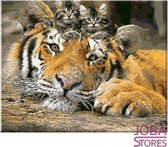 Schilderen op nummer "JobaStores®" Tijger met kittens 40x50cm