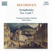 Nicolaus Esterhazy Sinfonia - Symphonies Nos. 4 & 7 (CD)