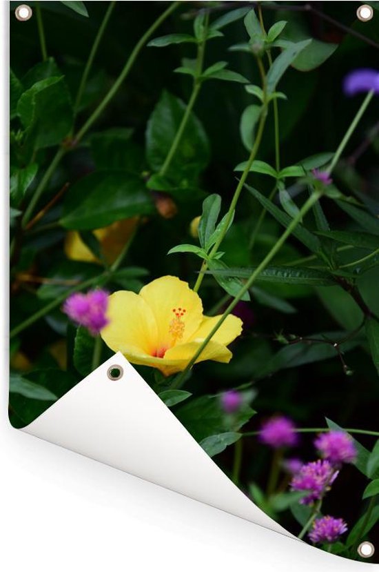 Tuinposter 120x180 cm - Tuindecoratie Teunis bloem tussen de groene planten - Poster voor in de tuin - Buiten decoratie - Schutting tuinschilderij - Tuindoek muurdecoratie - Wanddecoratie balkondoek