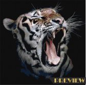 DP® Diamond Painting pakket volwassenen - Afbeelding: Angstaanjagende tijger - 60 x 60 cm volledige bedekking, vierkante steentjes - 100% Nederlandse productie! - Cat.: Dieren - Wilde dieren