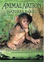 Nature's Babies - Family In (Import)