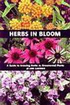 Herbs in Bloom