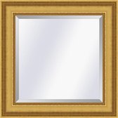 Klassieke spiegel Academie Goud medium 53mm         Buitenmaat 71x132cm