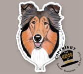 Magneet Hond Collie Sable