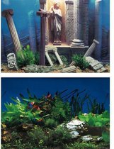 Superfish - Aquariumdecoratie -  Poster - 100 X 49 cm