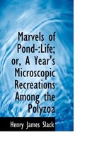 Marvels of Pond Life