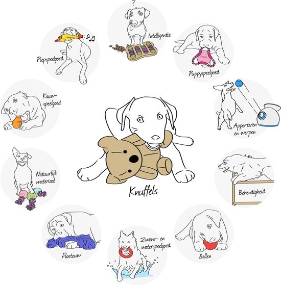 Illustratie van honden die spelen met verschillende soorten speelgoed, waaronder knuffels, kauwspeelgoed en apporteerspeelgoed.