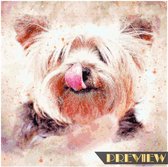 DP® Diamond Painting pakket volwassenen - Afbeelding: Tekening Hond - 50 x 50 cm volledige bedekking, vierkante steentjes - 100% Nederlandse productie! - Cat.: Dieren - Honden