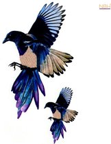 Water overdraagbare Tijdelijke Tattoo: Vogels 60x105mm